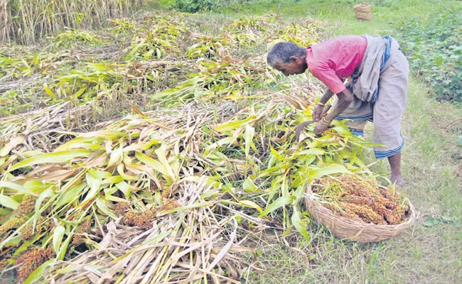 Ranga Reddy: Woman Who Crossed 100 years, Still Actively involving In farm Work - Sakshi