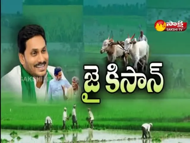 sakshi special edition on ysr rythu bharosa 