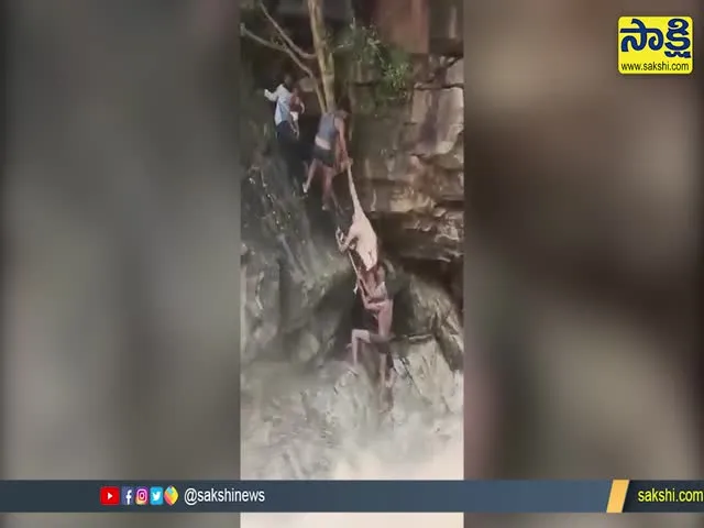 Viral Video: Tamil Nadu Forest Officials Rescuing Woman