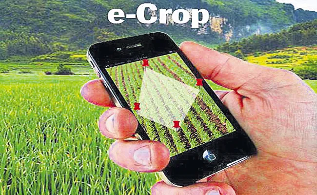 E Crop Registration Is In Full Swing Andhra Pradesh - Sakshi