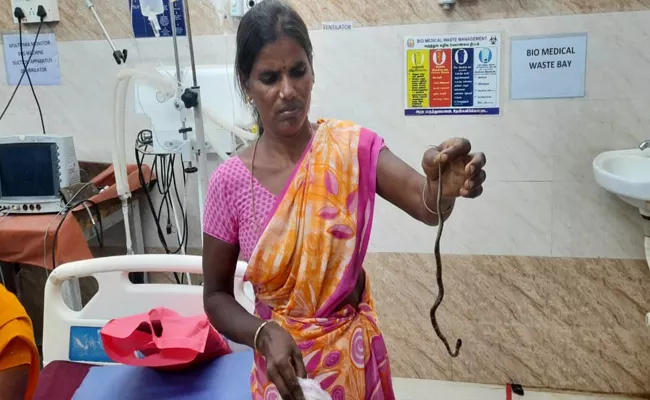 Woman in Karnataka Ballari Walks into Hospital With Cobra  - Sakshi