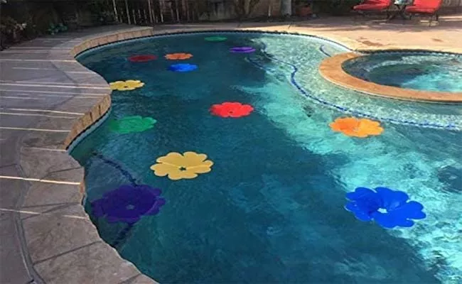 Solar Panel Flowers Heat Up Your Pool - Sakshi