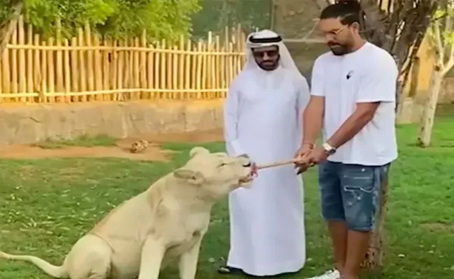 Viral Video: Yuvraj Singh Takes On A Liger In Tug Of War - Sakshi