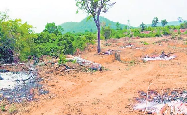 Environmentalists Are Concerned Over Podu Lands Occupancies - Sakshi