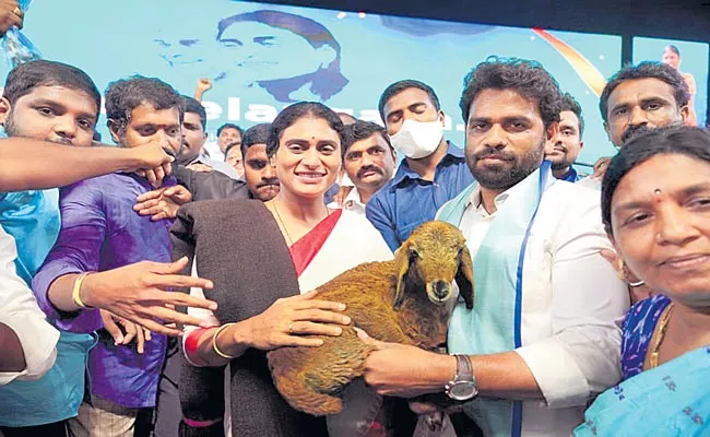 YS Sharmila Says Development Would Possible Only When The BC Came To Power - Sakshi