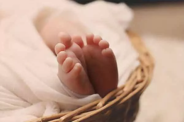 Himachal Pradesh: Newborn Baby Abandoned On Temple Stairs In Solan - Sakshi