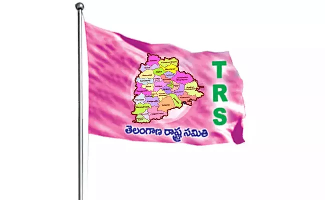 Vikarabad Unknown Persons Theft TRS Party Flag - Sakshi