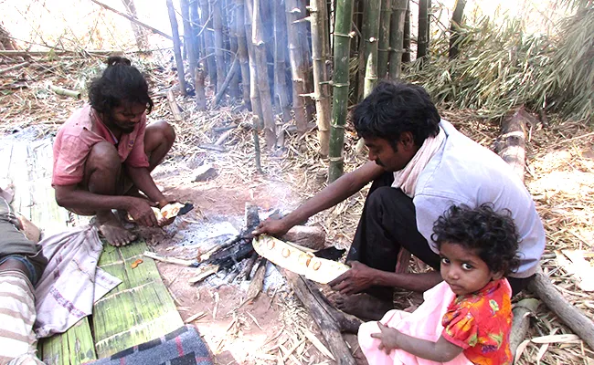 The Landmarks Of The Primitive In Nallamala - Sakshi