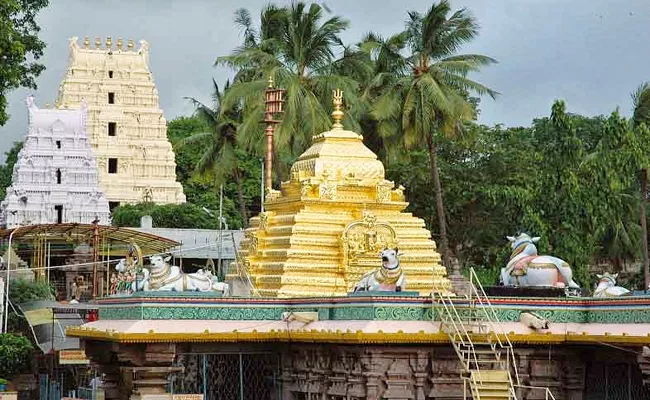 Srisailam is the only shrine where the Jyotirlinga Shaktipeeth combined - Sakshi