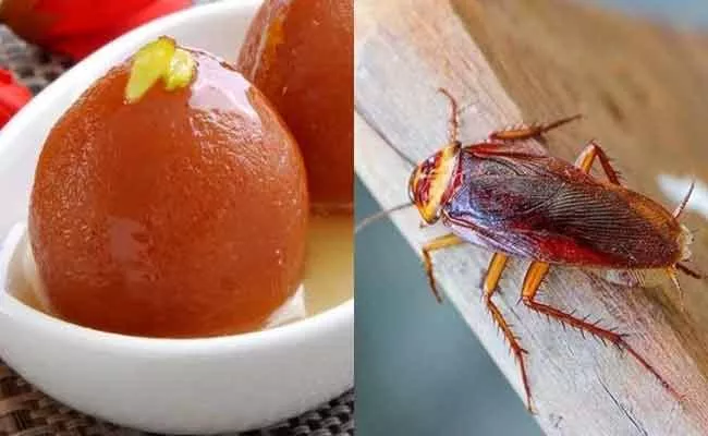 Bengaluru Hotel Ordered To Pay Rs 55,000 Fine After Cockroach Found Customer Jamun Bowl - Sakshi