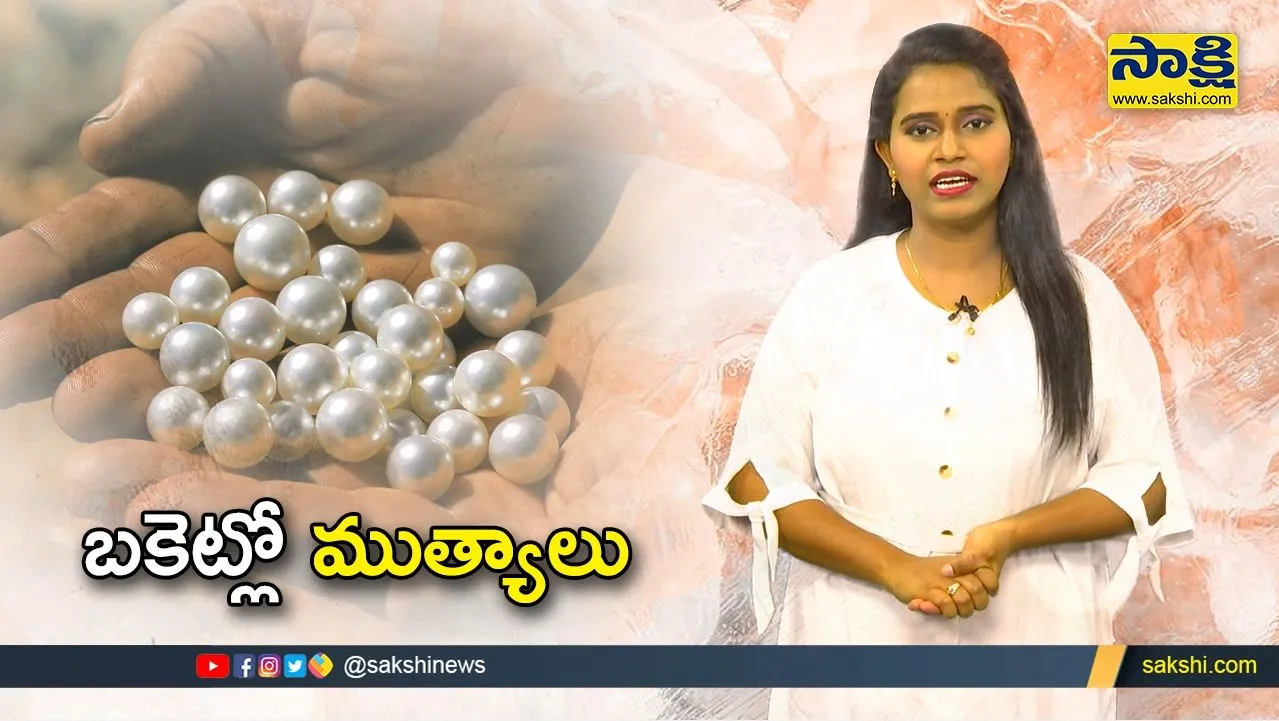 Sakshi Special Video: Pearls In Bucket