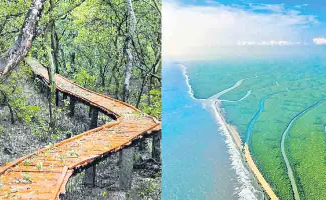 APTDC Plans New Restaurants And Resorts In Tourist Spots In AP - Sakshi