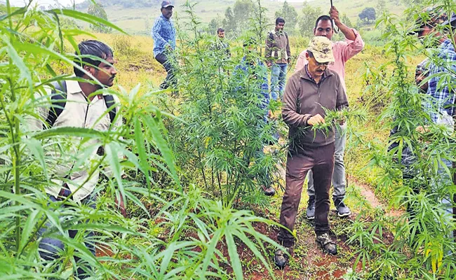 Railway police force support to Cannabis Prevention - Sakshi