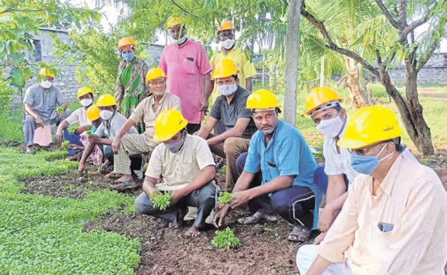 Radhaswami Nagari People special Natural Spirituality Life At Bethamcherla In AP - Sakshi