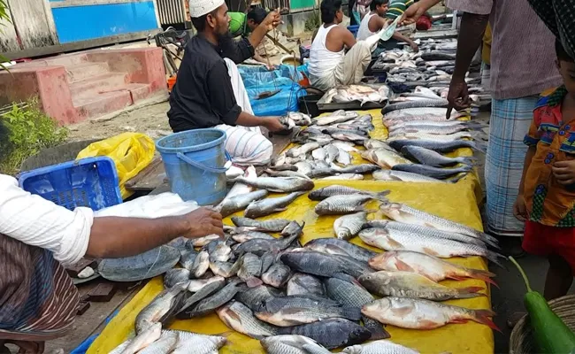 Fish Sales Increase Through Aqua Hubs In Krishna District - Sakshi