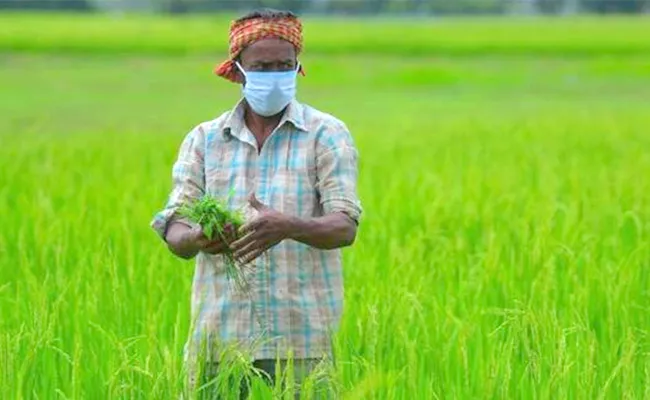 Niti aayog Vice Chairman Rajiv Kumar Comments On Agriculture Growth - Sakshi