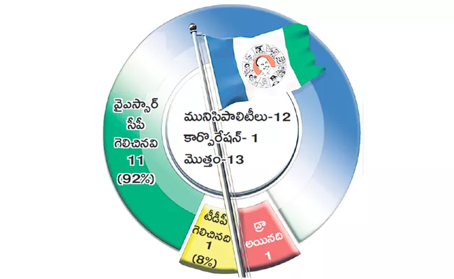 YSR Congress Party has created rare record in election results - Sakshi