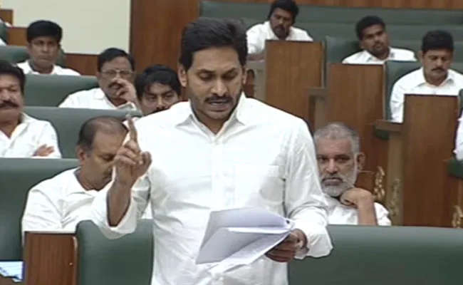 CM YS Jagan Speech On Agricultural Sector In AP Assembly - Sakshi