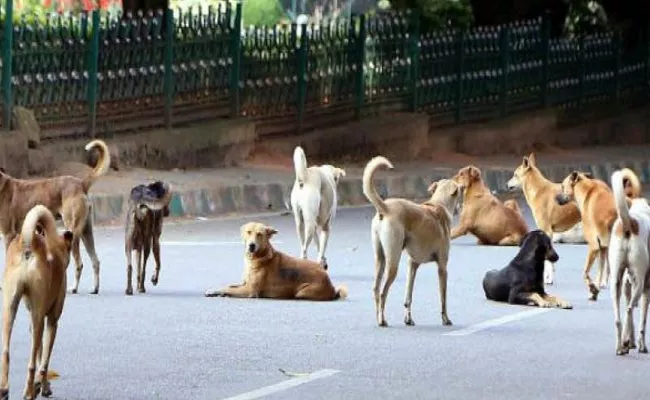 Uppal Gautam Nagar People Scare Over Stray Dogs - Sakshi