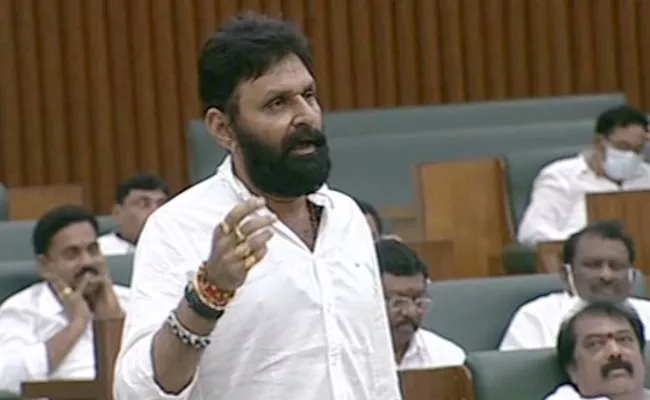 Minister Kodali Nani Fires On Chandrababu In Assembly Sessions - Sakshi