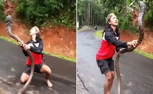 Viral Video Woman Catches ​Huge Cobra With Bare Hands - Sakshi