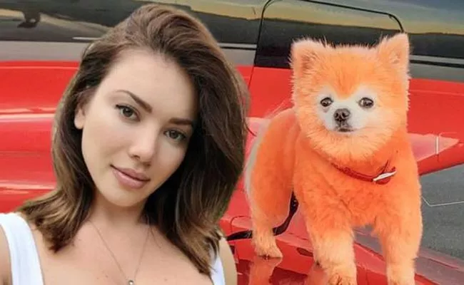 Russian Playboy Model Spends 5 Lakh For Dye Dog Goes Viral - Sakshi