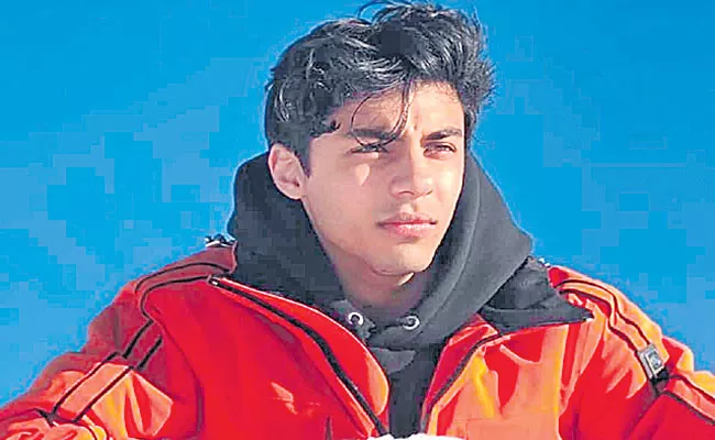 No evidence against Aryan Khan, two others: Bombay High Court bail order - Sakshi