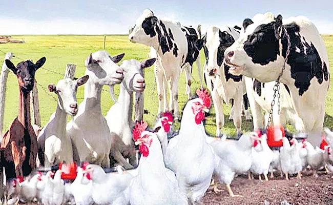 Livestock And Animal Farming Profit Rising In Telangana State - Sakshi