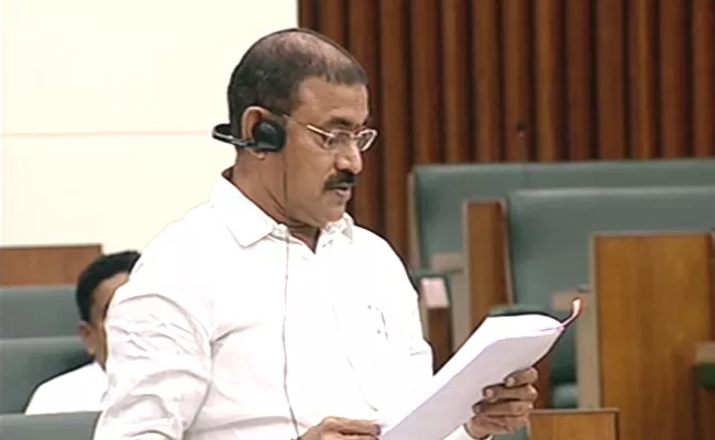 Minister Chelluboina Venu Gopala Krishna Speech On AP Assembly - Sakshi