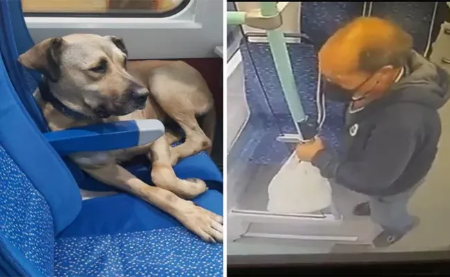 CCTV Footage shows Man Tries Dog Planting Faeces On Tram Seat Viral - Sakshi