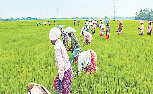 Release the Farm laws report says Anil Ghanwat - Sakshi