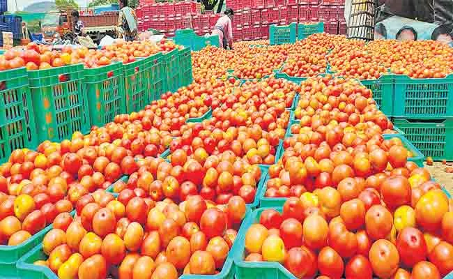 AP CM YS Jagan Orders Marketing Department To Get Down Tomato Rates - Sakshi