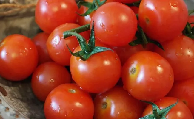 Tomato prices to stay elevated for another two months: CRISIL - Sakshi