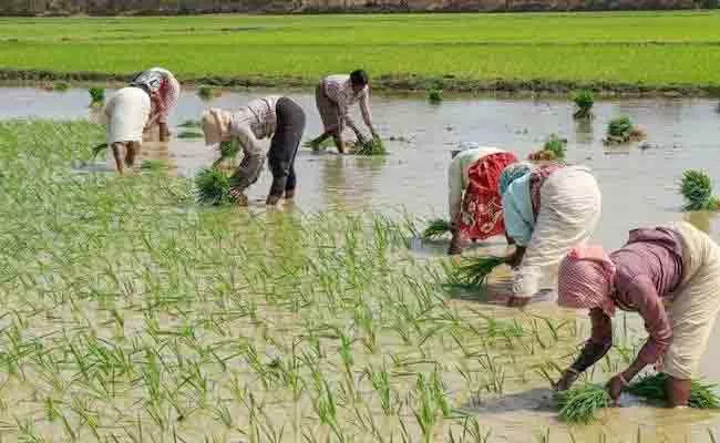 Centre Clarity On Paddy procurement Over TS Ministers Meeting With Piyush Goyal - Sakshi