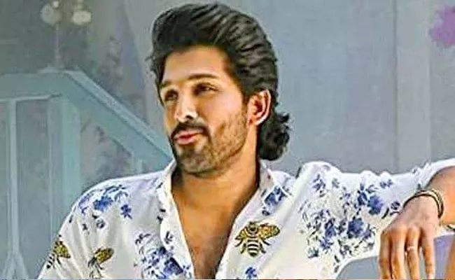 Allu Arjun Multistarrer Movie With Shahid Kapoor In Bollywood - Sakshi