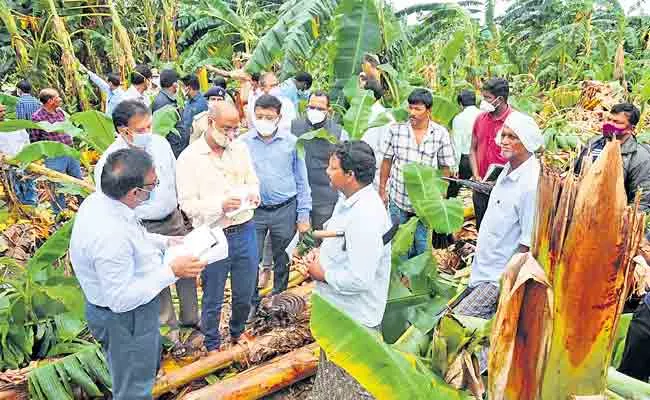 Central Team Visits Flood Affected Areas In Nellore District - Sakshi