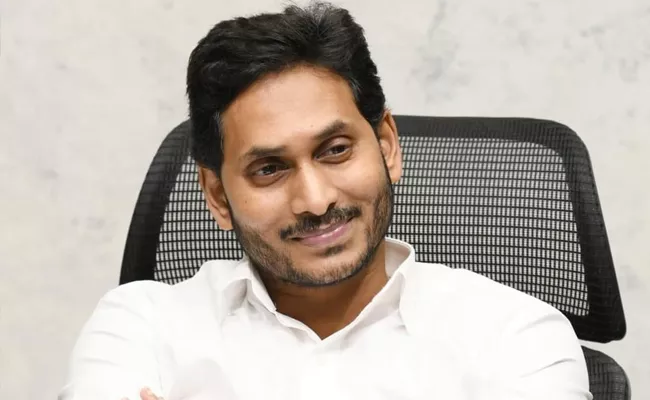 Central Team Meets With CM YS Jagan - Sakshi