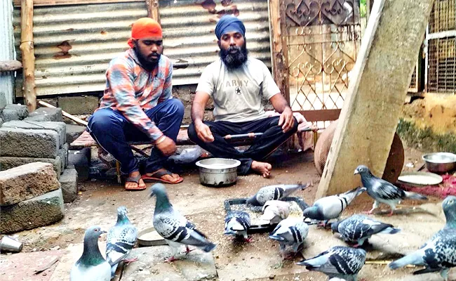 Why Racing Pigeons Are So Expensive Exclusive Vizag Singh Family - Sakshi