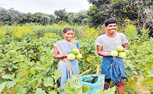 93 rural Villages are Organic Farming in Vizianagaram district - Sakshi