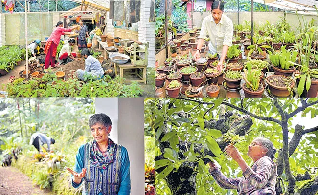 Gurukula Botanical Sanctuary a group of 27 women act as guardians - Sakshi