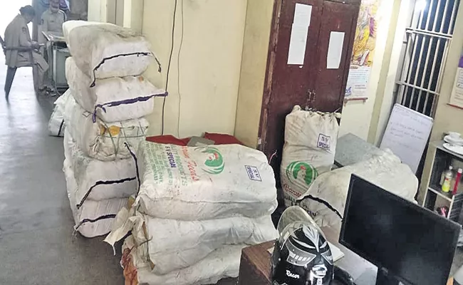 Cannabis bags under potato bags at Paderu - Sakshi