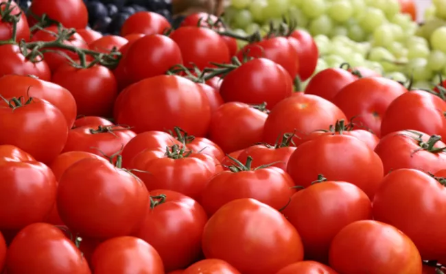 Tomato KG 74 Rupees In Madanapalle Market Chittoor District - Sakshi