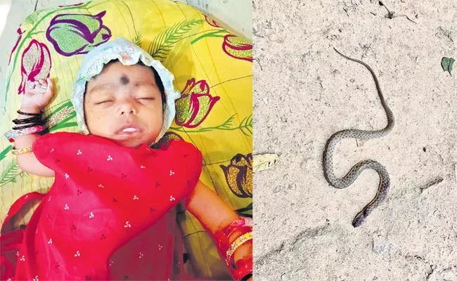 Baby Dies After Being Bitten By Snake In Mahabubabad District - Sakshi