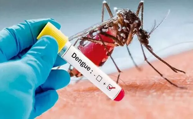 AP Special Drive Conducted To Control Dengue - Sakshi