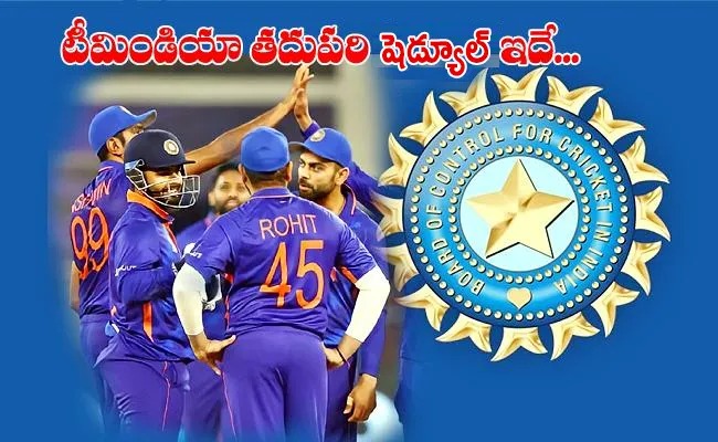 India Upcoming Schedule After Exit From T20 World Cup 2021 Check Details - Sakshi