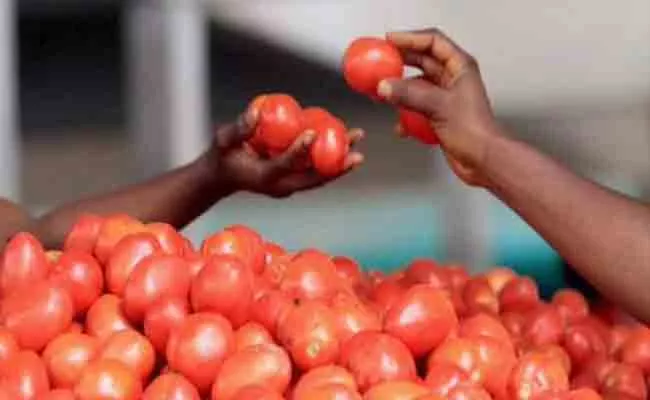 Tomato Price Hits High In Hyderabad - Sakshi