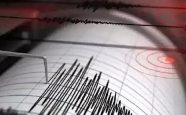 Indonesia tsunami warning above 7 Magnitude Earthquake Flores Island - Sakshi