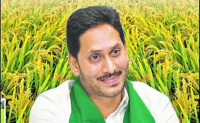 CM YS Jaganmohan Reddy On Minimum support price for farmer with Grain purchase - Sakshi