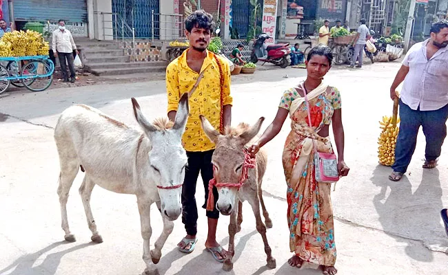 Huge Demand To Donkey Milk: Public Interest on Purchase for Good Health  - Sakshi