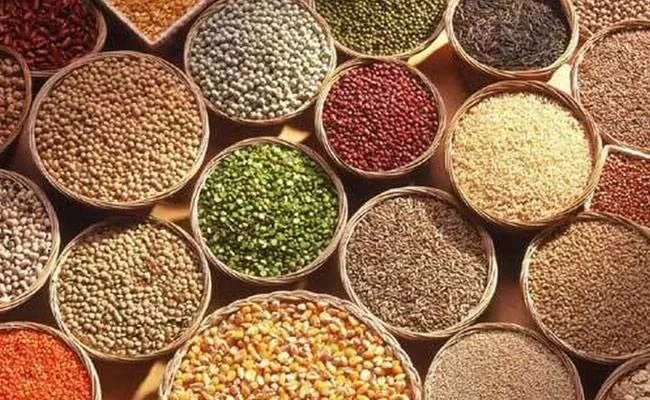 International organization ICRISAT revealed in latest survey On Millets - Sakshi